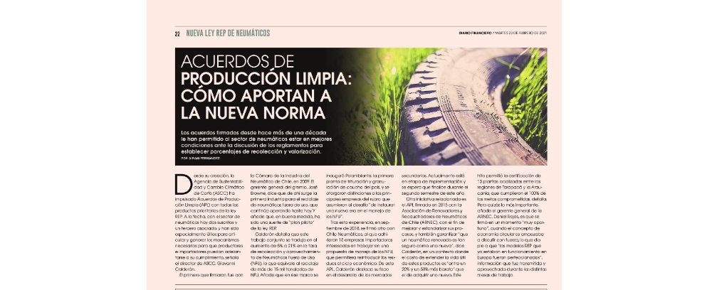 apl_neumaticos_ley_rep