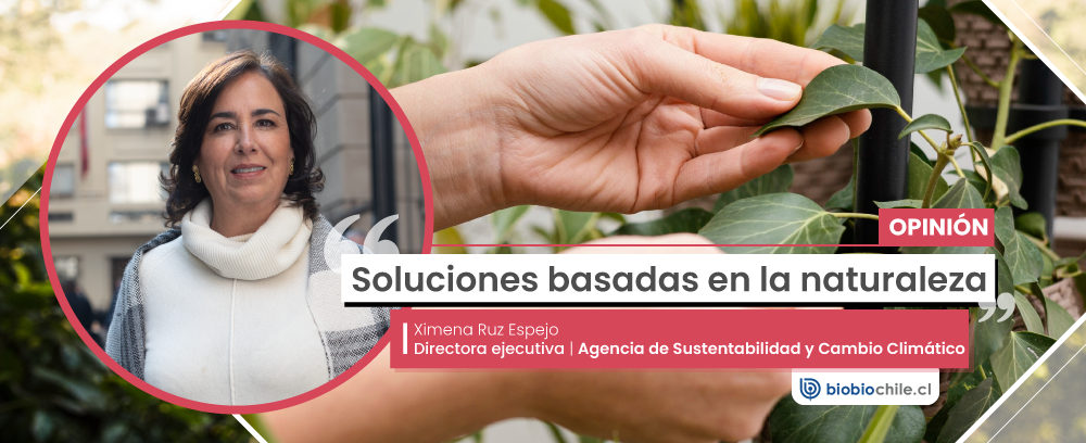 soluciones_basadas_naturaleza