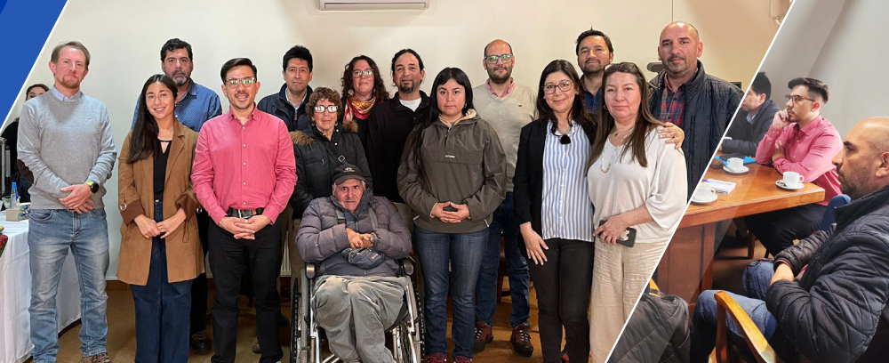 APL_Araucania APL_Araucania