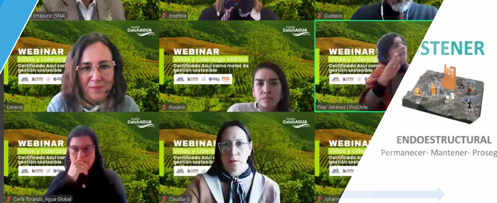 WEBINAR