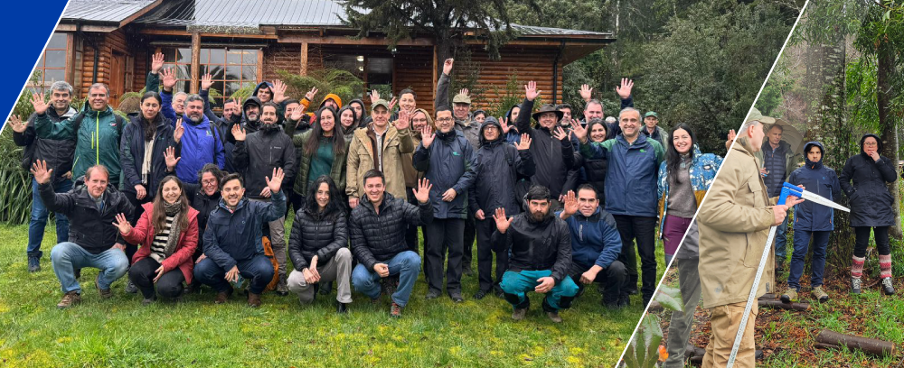 apl_bosque_nativo apl_bosque_nativo