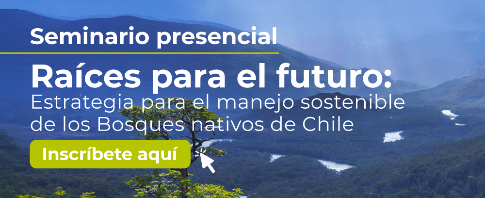 seminario