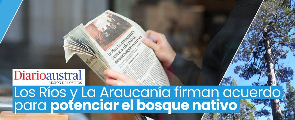 medios medios