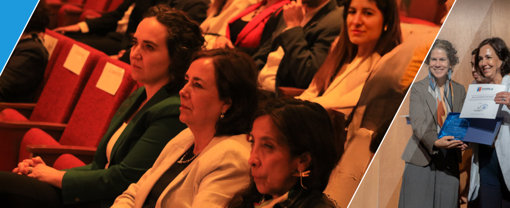 reconocimiento_huellachile reconocimiento_huellachile