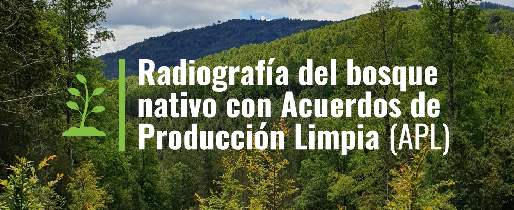 bosques_con_apl bosques_con_apl