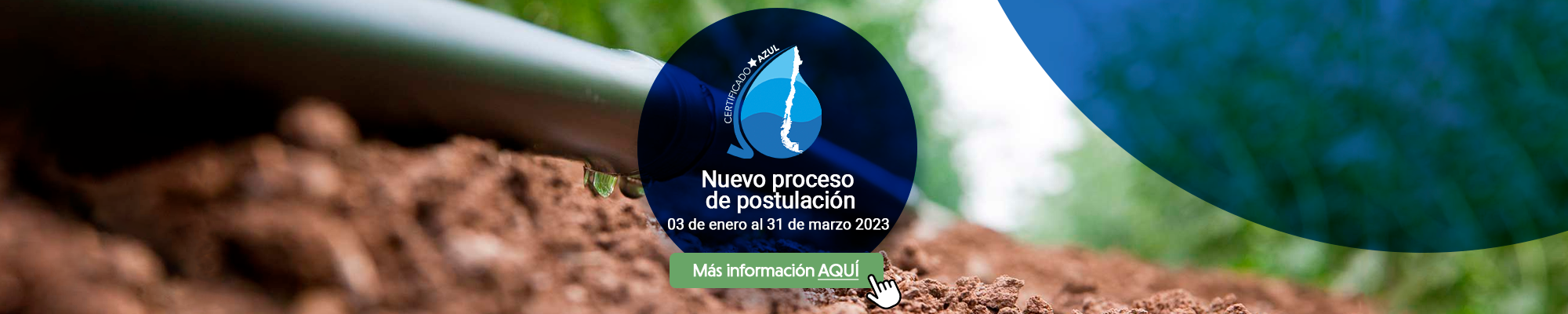 certificado_azul